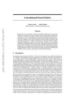 Convolutional Neural Fabrics