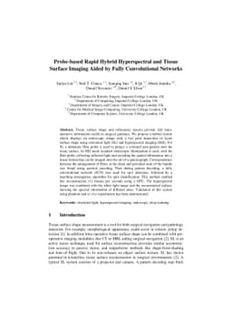 Probe-based Rapid Hybrid Hyperspectral and Tissue Surface Imaging Aided
  by Fully Convolutional Networks