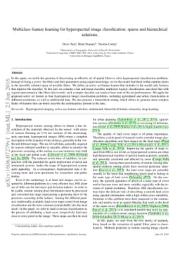 Multiclass feature learning for hyperspectral image classification:
  sparse and hierarchical solutions