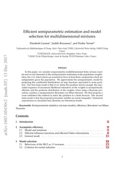 Efficient semiparametric estimation and model selection for
  multidimensional mixtures