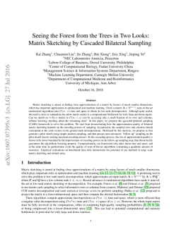 Seeing the Forest from the Trees in Two Looks: Matrix Sketching by
  Cascaded Bilateral Sampling