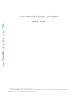 Lecture Notes on Randomized Linear Algebra
