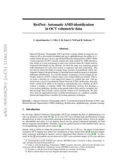 RetiNet: Automatic AMD identification in OCT volumetric data