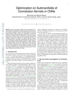 Optimization on Submanifolds of Convolution Kernels in CNNs
