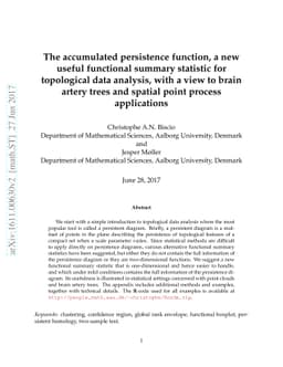 The accumulated persistence function, a new useful functional summary
  statistic for topological data analysis, with a view to brain artery trees
  and spatial point process applications
