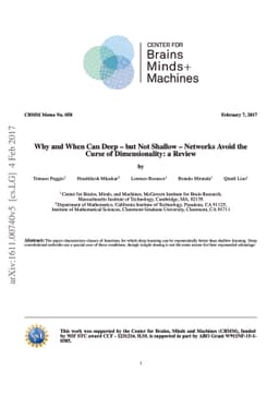 Why and When Can Deep -- but Not Shallow -- Networks Avoid the Curse of
  Dimensionality: a Review