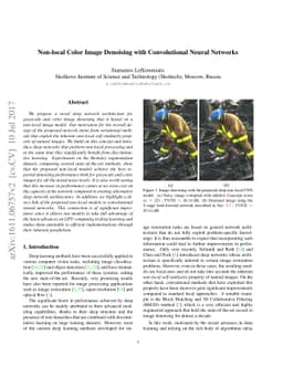 Non-Local Color Image Denoising with Convolutional Neural Networks