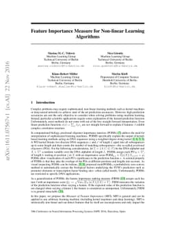Feature Importance Measure for Non-linear Learning Algorithms