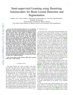 Semi-supervised Learning using Denoising Autoencoders for Brain Lesion
  Detection and Segmentation