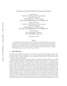 Learning with Hierarchical Gaussian Kernels