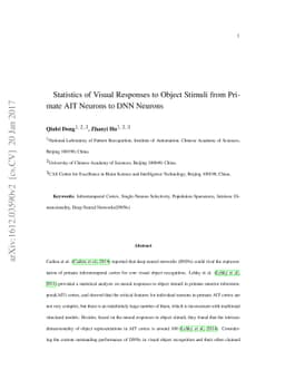 Statistics of Visual Responses to Object Stimuli from Primate AIT
  Neurons to DNN Neurons