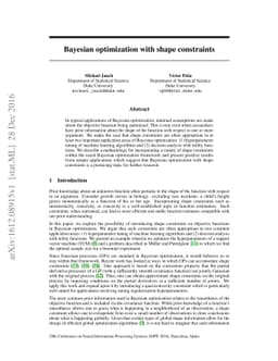 Bayesian Optimization with Shape Constraints