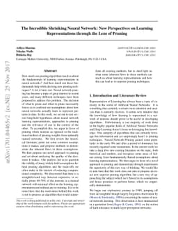 The Incredible Shrinking Neural Network: New Perspectives on Learning
  Representations Through The Lens of Pruning