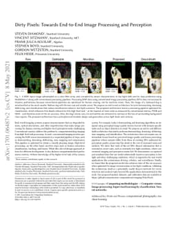 Dirty Pixels: Towards End-to-End Image Processing and Perception