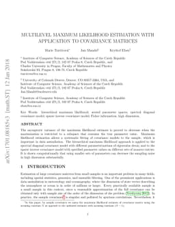 Multilevel maximum likelihood estimation with application to covariance
  matrices