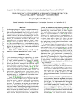 Dual-Tree Wavelet Scattering Network with Parametric Log Transformation
  for Object Classification