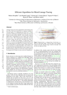 Efficient Algorithms for Moral Lineage Tracing