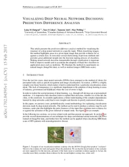 Visualizing Deep Neural Network Decisions: Prediction Difference
  Analysis