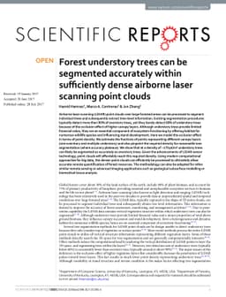 Forest understory trees can be segmented accurately within sufficiently
  dense airborne laser scanning point clouds