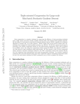 Tuple-oriented Compression for Large-scale Mini-batch Stochastic
  Gradient Descent