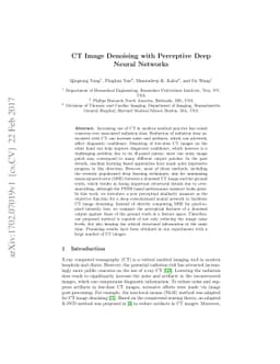 CT Image Denoising with Perceptive Deep Neural Networks