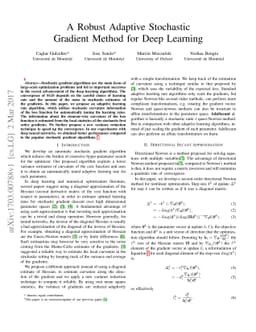 A Robust Adaptive Stochastic Gradient Method for Deep Learning