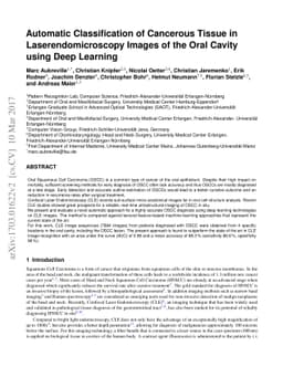 Automatic Classification of Cancerous Tissue in Laserendomicroscopy
  Images of the Oral Cavity using Deep Learning