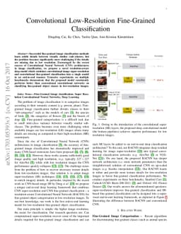 Convolutional Low-Resolution Fine-Grained Classification