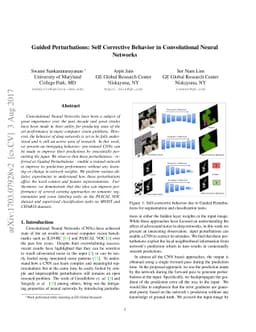 Self corrective Perturbations for Semantic Segmentation and
  Classification