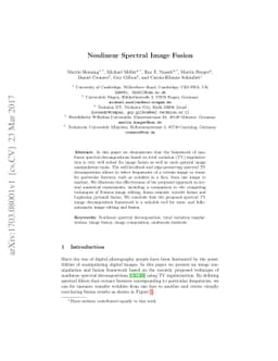 Nonlinear Spectral Image Fusion