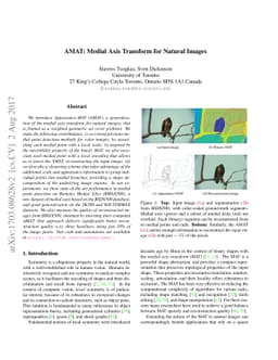 AMAT: Medial Axis Transform for Natural Images