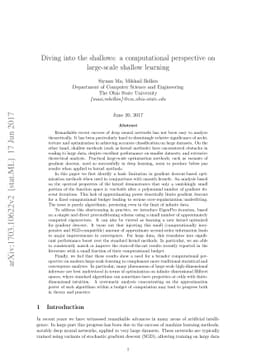 Diving into the shallows: a computational perspective on large-scale
  shallow learning