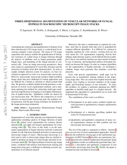 Three-Dimensional Segmentation of Vesicular Networks of Fungal Hyphae in
  Macroscopic Microscopy Image Stacks