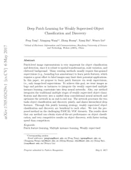 Deep Patch Learning for Weakly Supervised Object Classification and
  Discovery