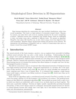Morphological Error Detection in 3D Segmentations