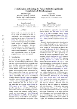 Morphological Embeddings for Named Entity Recognition in Morphologically
  Rich Languages