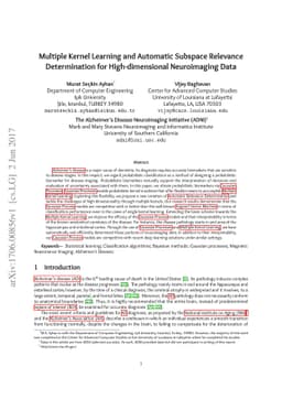Multiple Kernel Learning and Automatic Subspace Relevance Determination
  for High-dimensional Neuroimaging Data