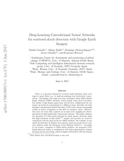 Deep-Learning Convolutional Neural Networks for scattered shrub
  detection with Google Earth Imagery