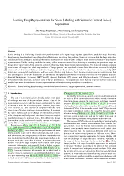 Learning Deep Representations for Scene Labeling with Semantic Context
  Guided Supervision