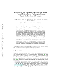 Progressive and Multi-Path Holistically Nested Neural Networks for
  Pathological Lung Segmentation from CT Images