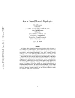 Sparse Neural Networks Topologies