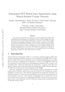 Pathological OCT Retinal Layer Segmentation using Branch Residual
  U-shape Networks
