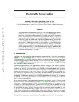 PatchShuffle Regularization