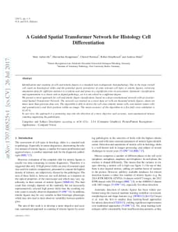 A Guided Spatial Transformer Network for Histology Cell Differentiation