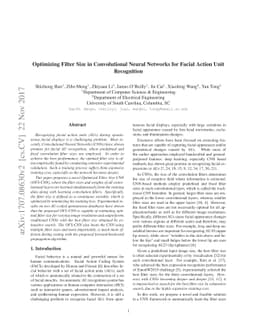 Optimizing Filter Size in Convolutional Neural Networks for Facial
  Action Unit Recognition