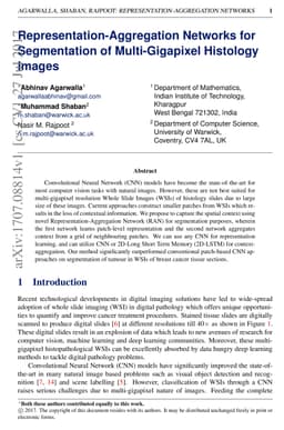 Representation-Aggregation Networks for Segmentation of Multi-Gigapixel
  Histology Images