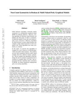 Non-Count Symmetries in Boolean & Multi-Valued Prob. Graphical Models