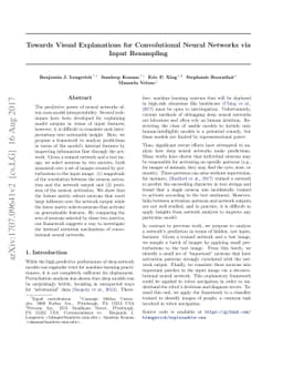 Towards Visual Explanations for Convolutional Neural Networks via Input
  Resampling