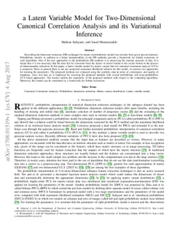 A Latent Variable Model for Two-Dimensional Canonical Correlation
  Analysis and its Variational Inference