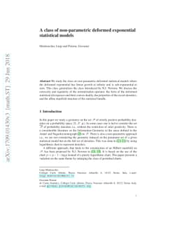 A class of non-parametric deformed exponential statistical models